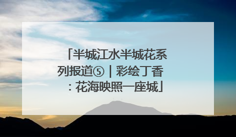 半城江水半城花系列报道⑤｜彩绘丁香：花海映照一座城